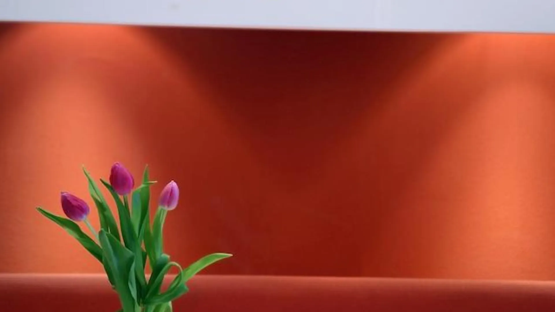 1St Creatif Hotel Elephant Munich